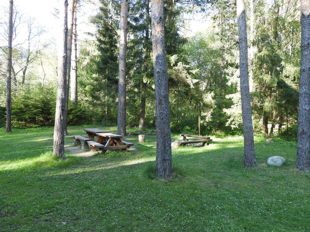Chata Dasa High Tatras Mlynceky Екстериор снимка